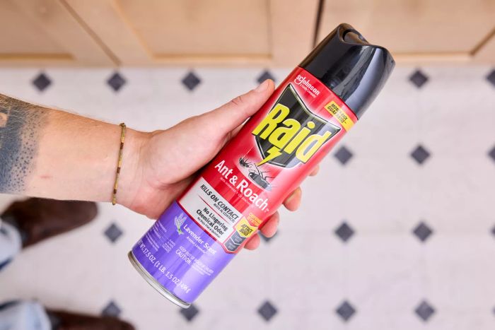 A person holding a can of Raid Ant & Roach Killer