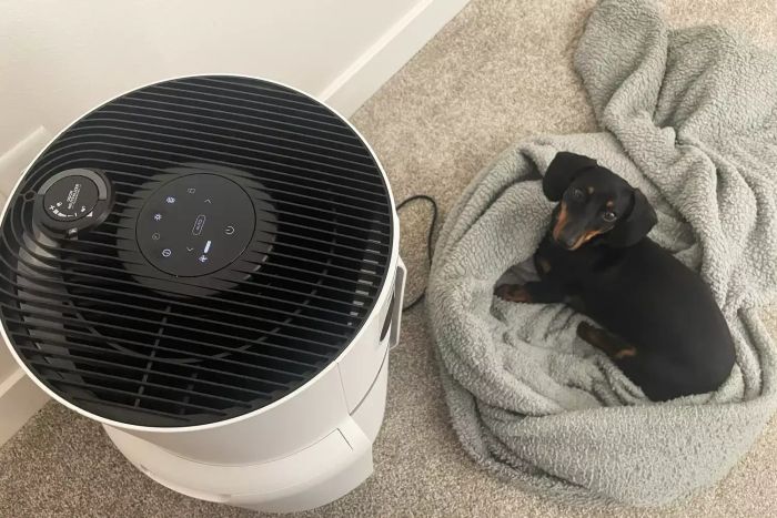 A dog resting next to the Shark NeverChange Air Purifier MAX