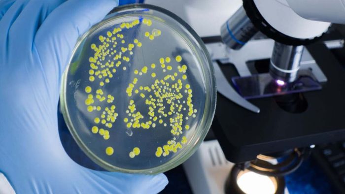 Germs were once mocked