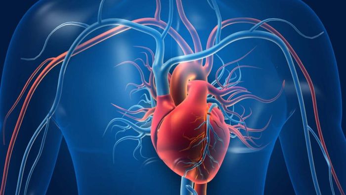 We understood heartbeats, but the concept of blood circulation came much later.