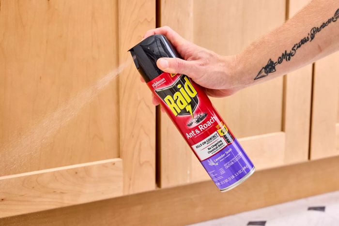 A person spraying the Raid Ant & Roach Killer