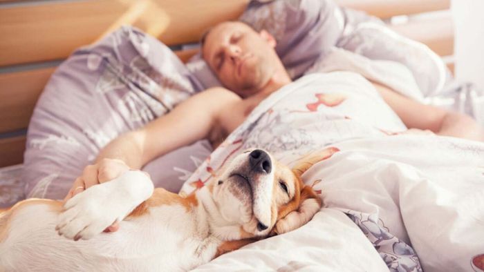 How to Master a Sleep Routine That Really Works