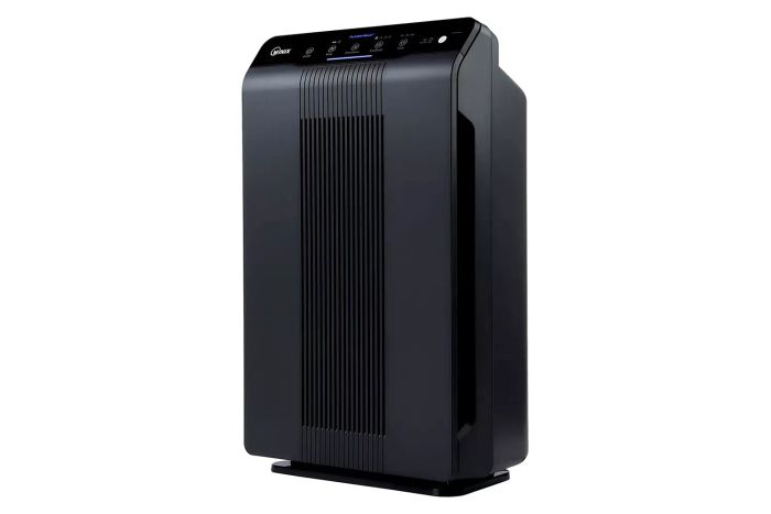 Winix 5500-2 4-Stage True HEPA Air Purifier
