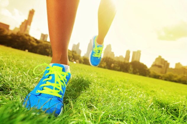 5 Exercise