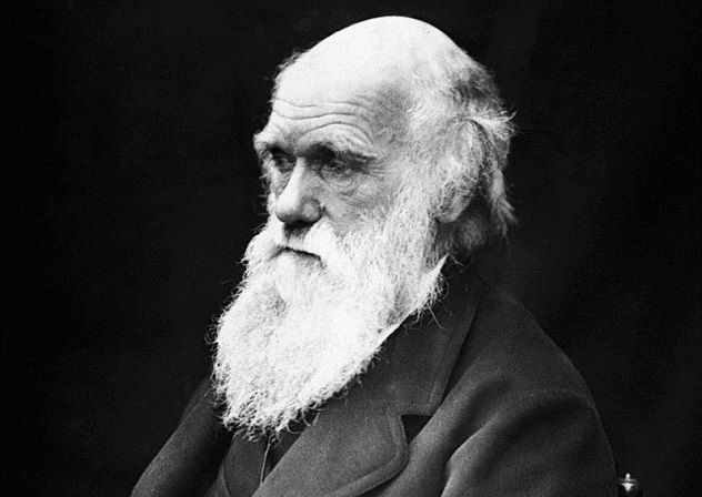 797px-Charles_Darwin_01