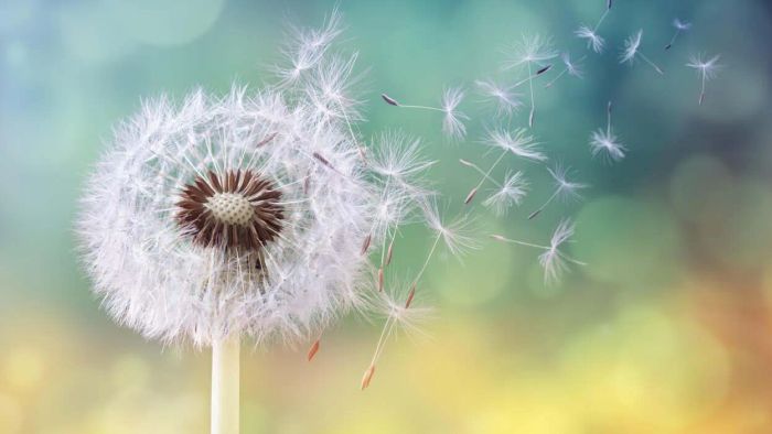 The Most Challenging U.S. Cities for Those with Seasonal Allergies