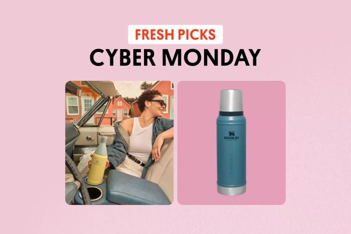 Cyber Monday Deals Roundup: Stanley’s Best Offers
