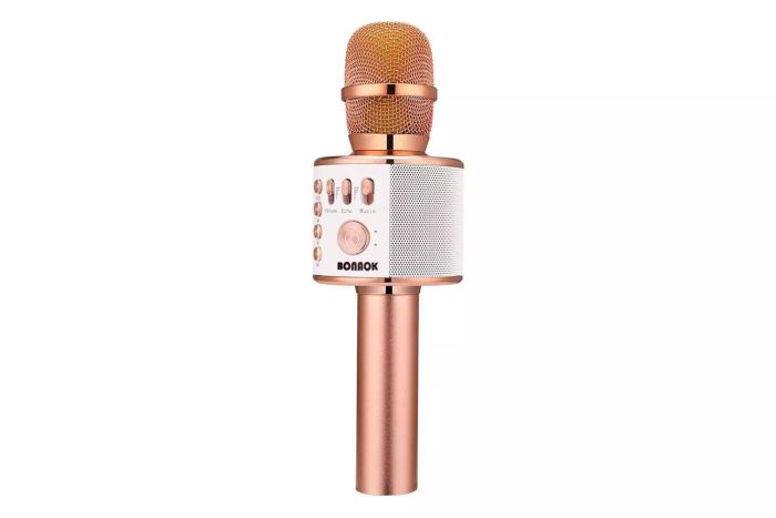 BONAOK Wireless Bluetooth Karaoke Microphone