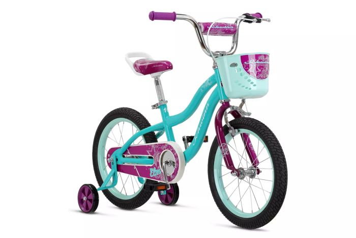 Amazon Schwinn Koen & Elm BMX Style Bike With Basket