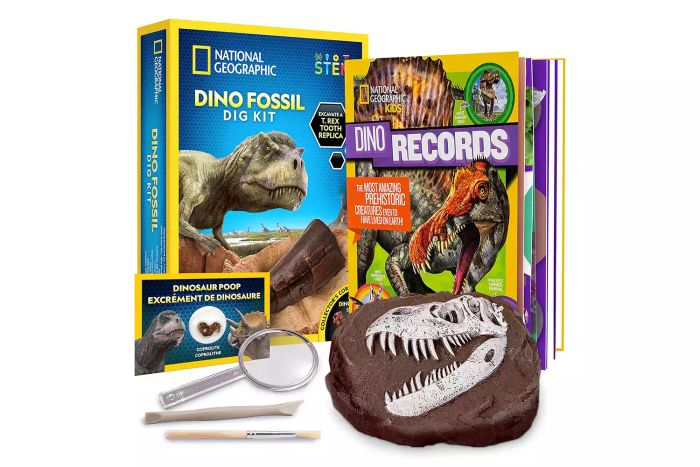 NATIONAL GEOGRAPHIC Dino Fossil Dig Kit & Dinosaur Book