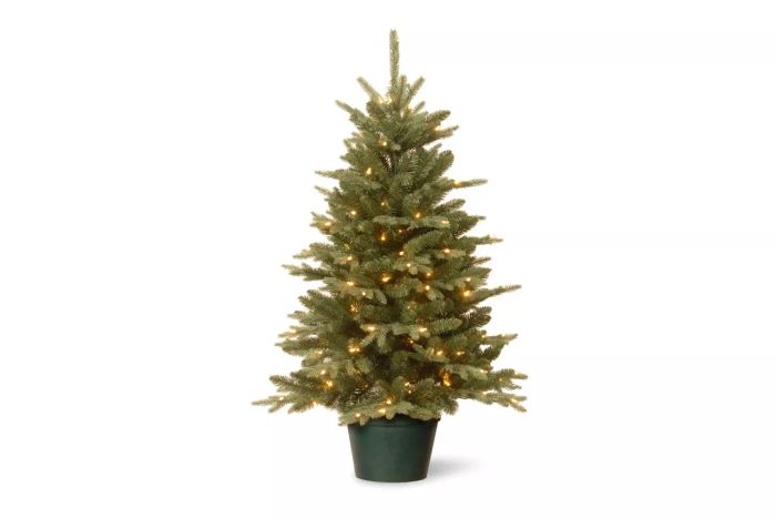 The Holiday Aisle 3ft. Everyday Collection Potted Evergreen Tree with Clear Lights