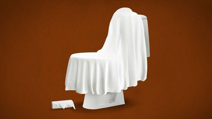 How to Keep Your Pooping Private