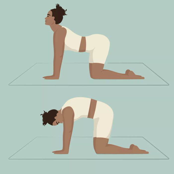 Stretching Exercise: Cat-Cow Stretch
