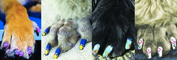 Doggie Nail Polish