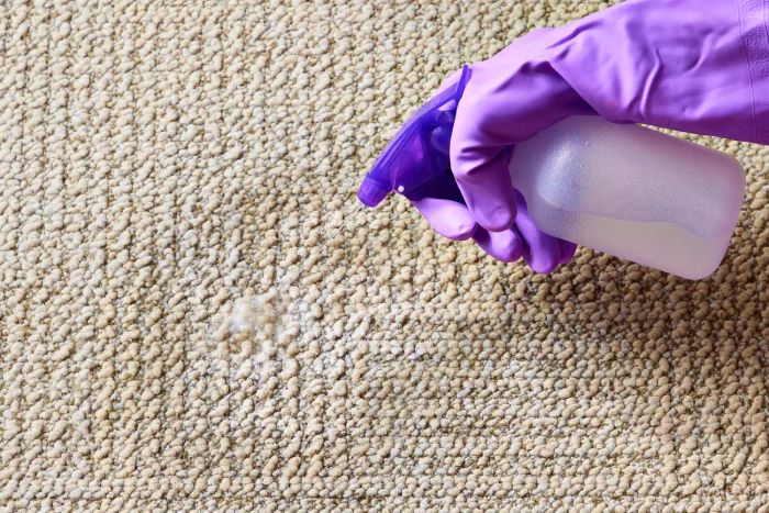 how-to-remove-pee-smell-from-carpet_Method_1_STEP