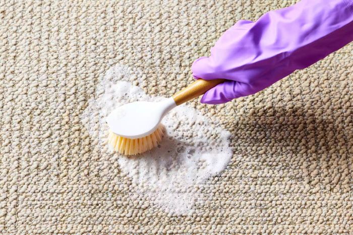 how-to-remove-pee-smell-from-carpet_Method_1_STEP_04