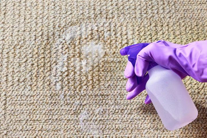 how-to-remove-urine-odor-from-carpet_hero