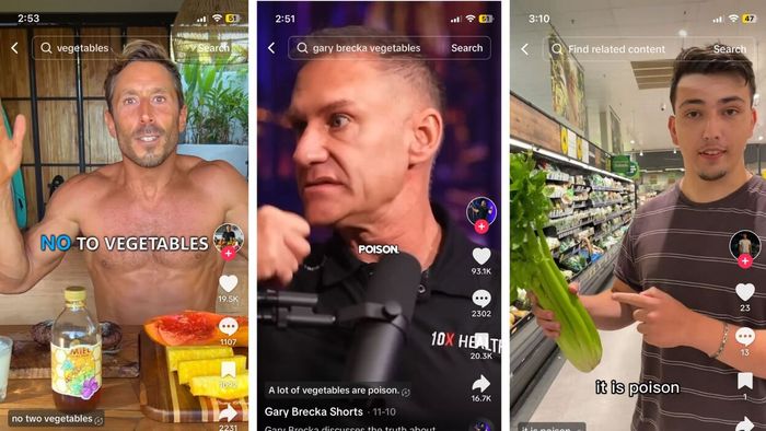 Screenshots of Paul Saladino, Gary Brecka, and Carnivorevitality claiming that vegetables are toxic.