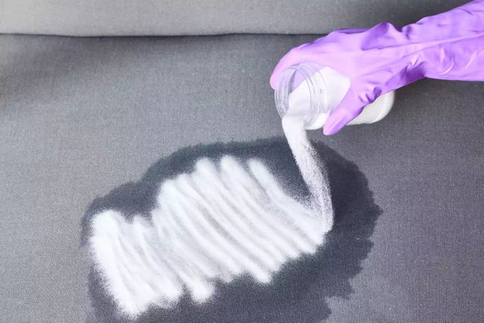 how-to-get-pee-smell-out-of-carpet_Method_2_STEP_04