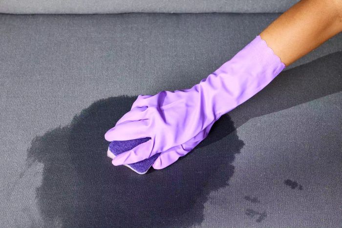 how-to-get-pee-smell-out-of-carpet_Method_2_STEP_03_