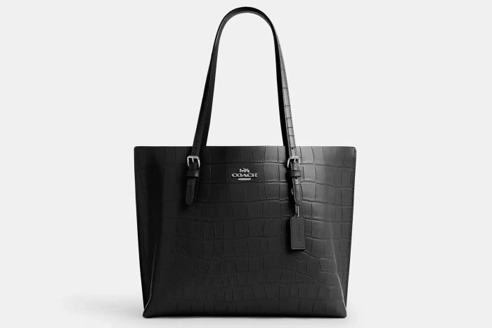 Coach Outlet Mollie Tote Bag