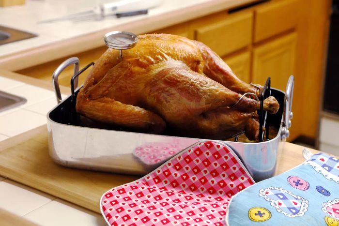 turkey with thermometer