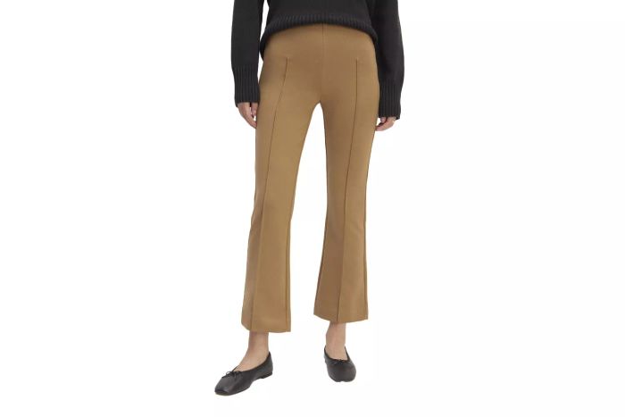 Everlane The Dream Kick Flare Pant
