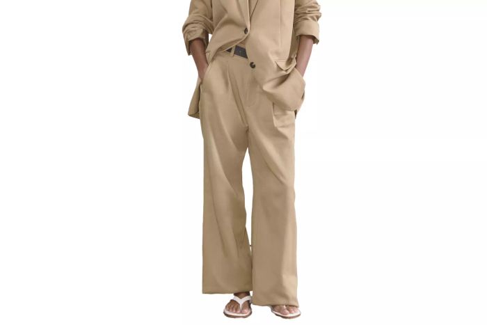 Everlane The Draper Pleated Pant