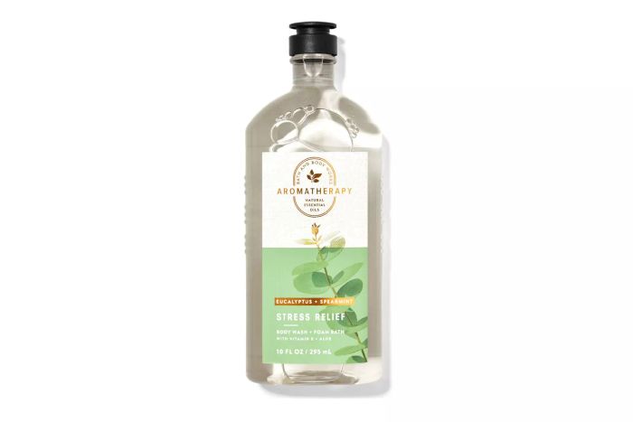 The Bath & Body Works Eucalyptus Spearmint Body Wash and Foam Bath