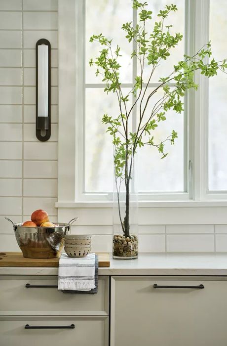 Biophilic design elements