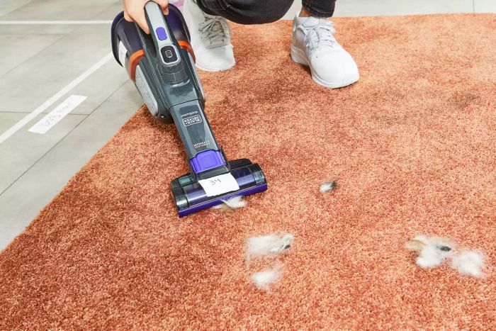 A person is using the Black+Decker Furbuster Handheld Vacuum for Pets to remove pet hair from an orange carpet.