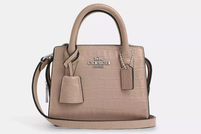 Coach Andrea Mini Carryall Bag
