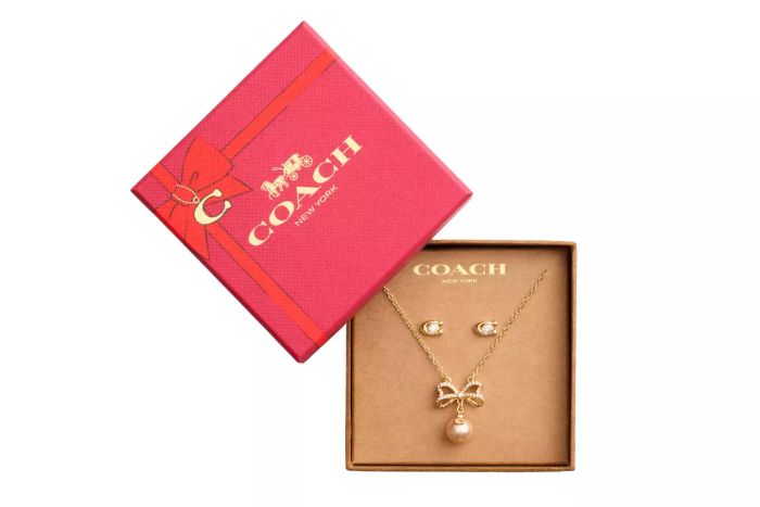 Coach Bow Pearl Necklace And Earrings Set