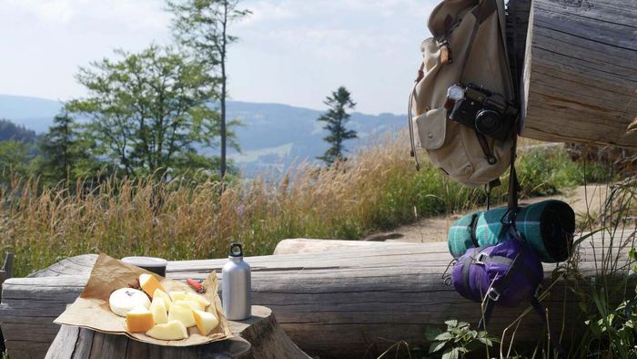 a block of cheese atop a mountain peak