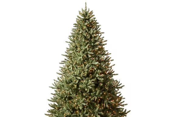 Balsam Hill Classic Blue Spruce Tree