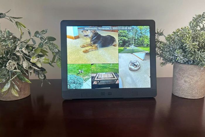 Pix-Star 10 inch WiFi Digital Picture Frame placed on a table next to plants