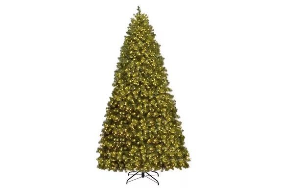 8-Foot Pre-Lit Dense PVC Christmas Tree Spruce Hinged with 880 LED Lights and Stand