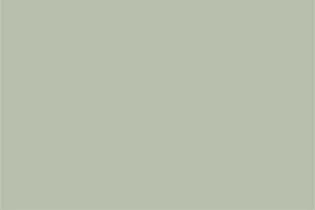 Farrow & Ball’s Pigeon No. 25 is a sophisticated blend of gray and green, ideal for creating a moody, inviting space.