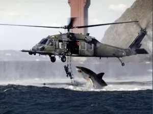 Shark Attack 01-1
