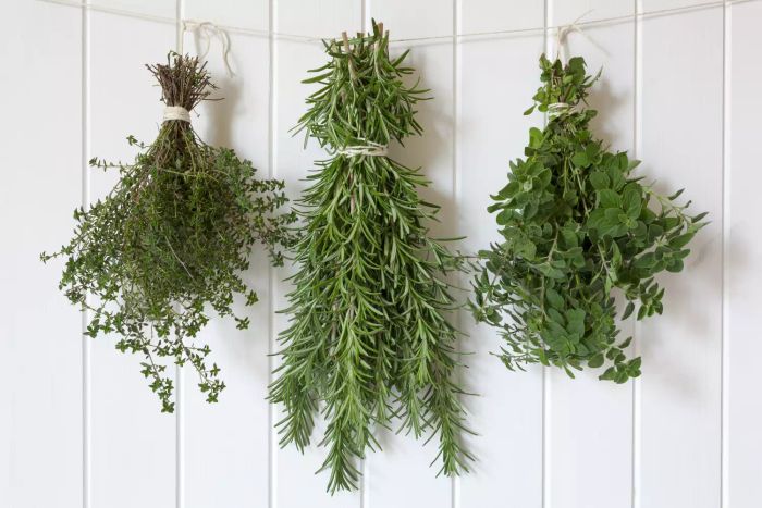 hang-dried-herbs-GettyImages-178468335