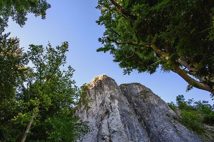 Image credit: 2016-06-23-Schelklingen-46.jpg