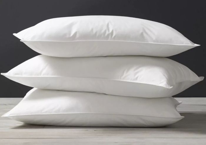 Kassatex European White Goose Down Pillows