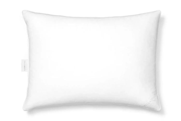 Nordstrom Boll & Branch Down Chamber Pillow