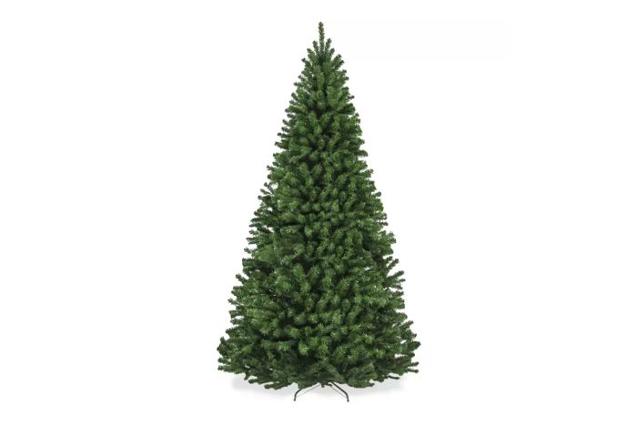 spruce christmas tree