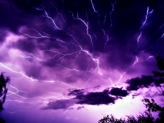 mauve