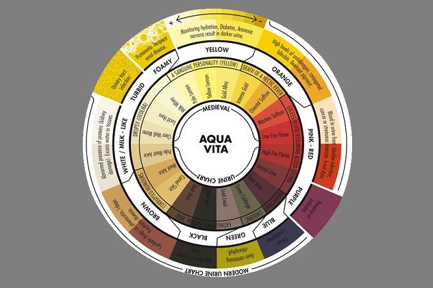 The spectrum of urine