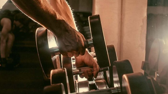 The Importance of Having a Lifting Program