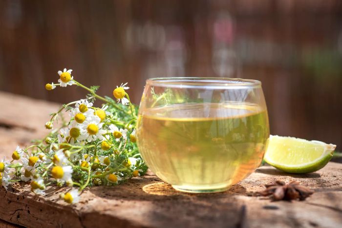 Chamomile flowers and a freshly brewed cup of tea