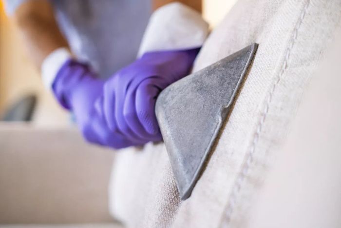 A close-up of someone vacuuming the fabric of a couch cushion