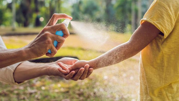 These Natural Mosquito Repellents Effectively Shield You From Insect Bites